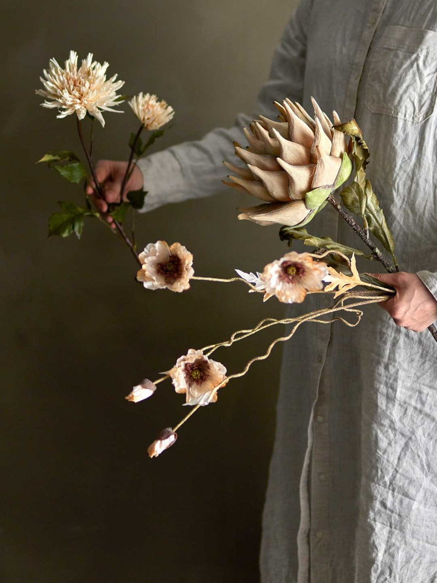 Protea Stilk, Natur, Kunstige Blomster - Bloomingville