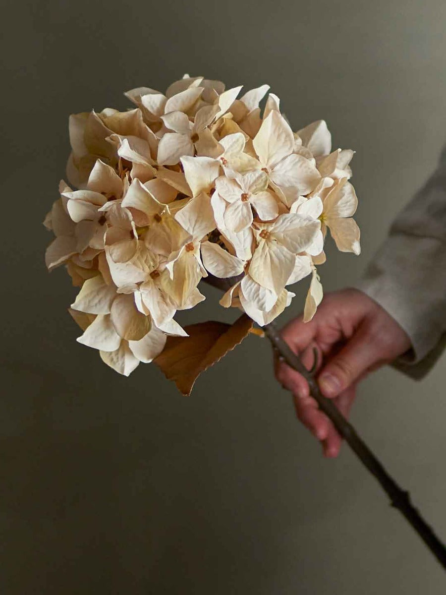 Hydrangea Stilk, Natur, Kunstige Blomster - Bloomingville