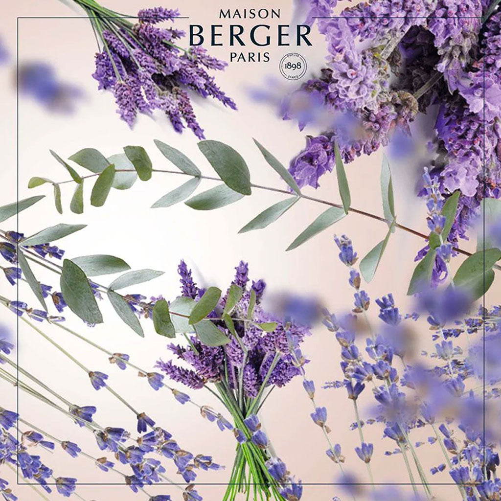 Lavender Fields - Cube Flakon Med Duftpinde - Maison Berger