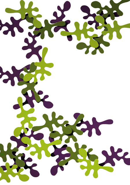 Camouflage - Sort, Lilla, Hvid - Frost