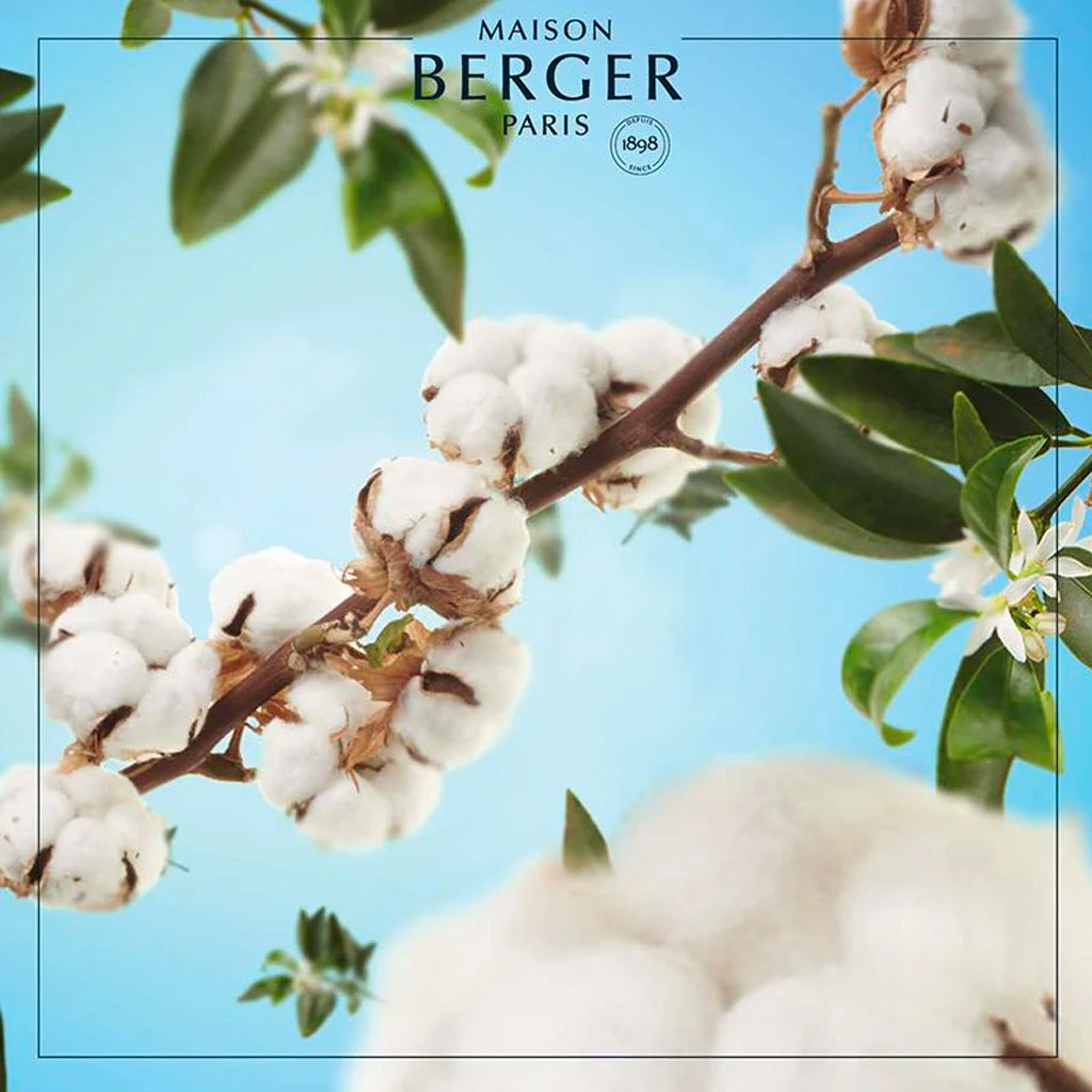Cotton Caress - Cube flakon med duftpinde - Maison Berger
