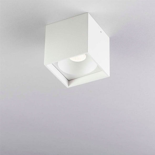 Solo Square - Light Point