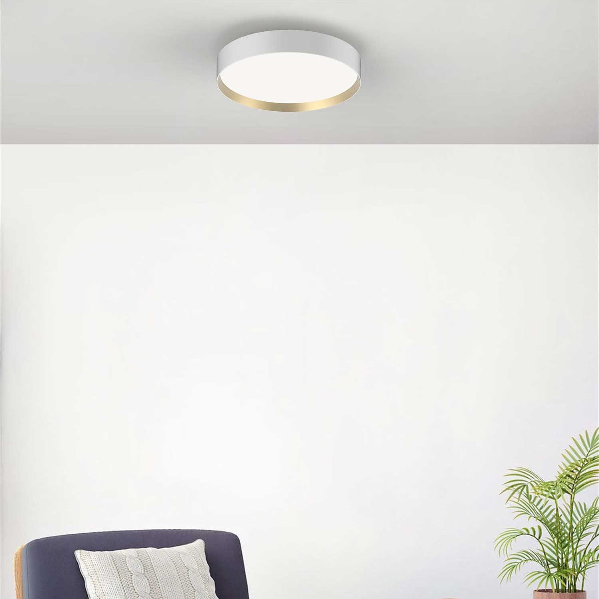 Lucia Ø35 Væg-/Loftlampe - Hvid Guld - Loom Design