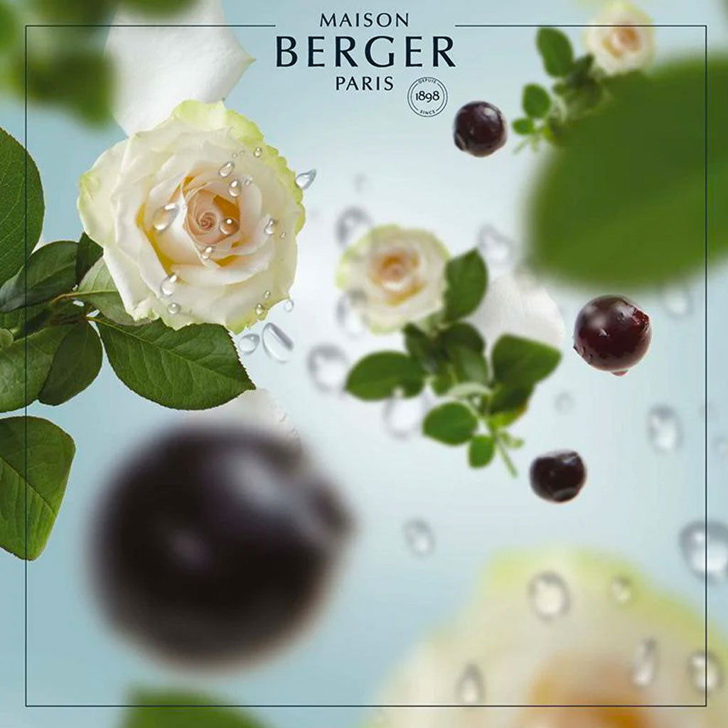 Ocean Breeze - Startsæt med duftfrisker til bil - Maison Berger