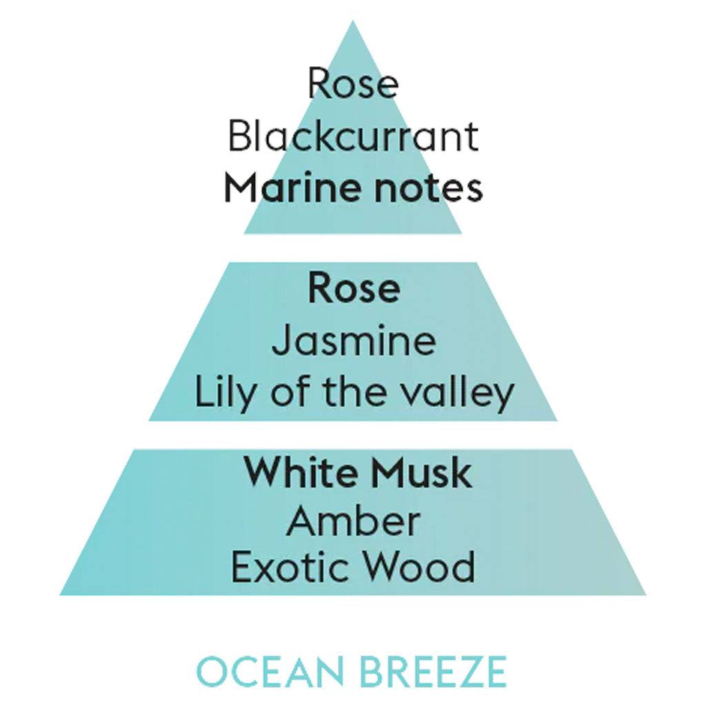 Ocean Breeze - Startsæt med duftfrisker til bil - Maison Berger