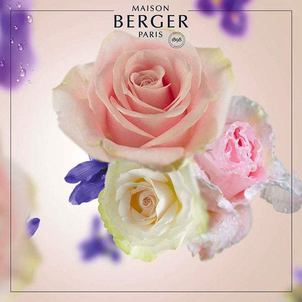 Paris Chic - Duftpinde Refill - Maison Berger