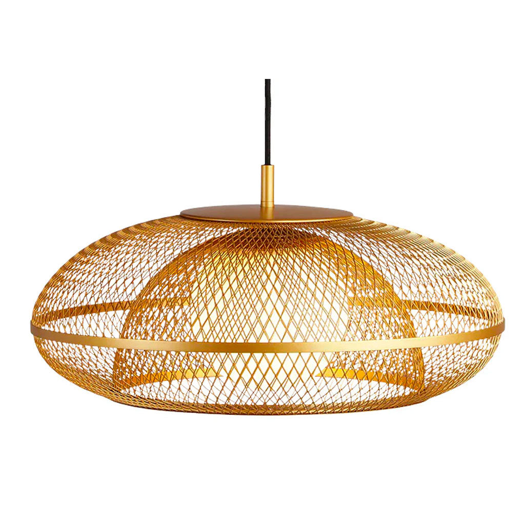 Faraday Pendel - Medium - Umage